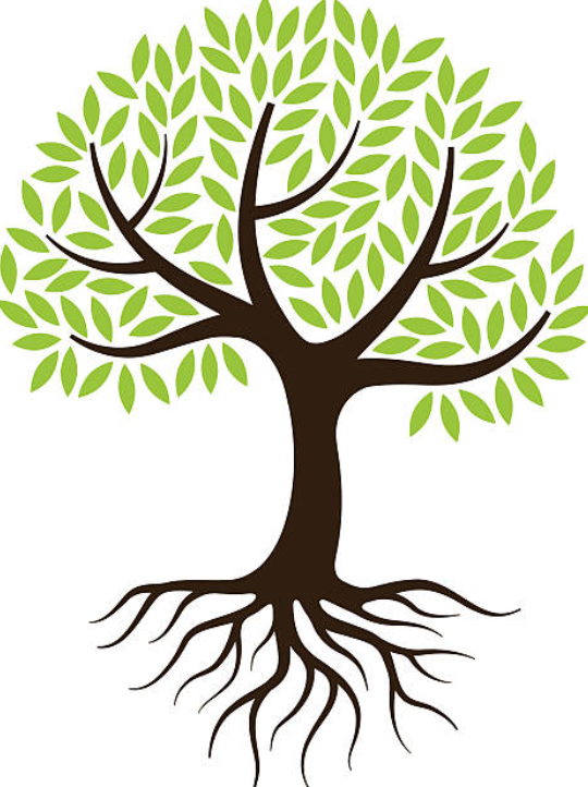 Chronic Health Problems 6