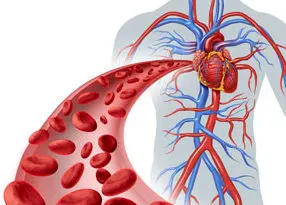 Chronic Health Problems 7